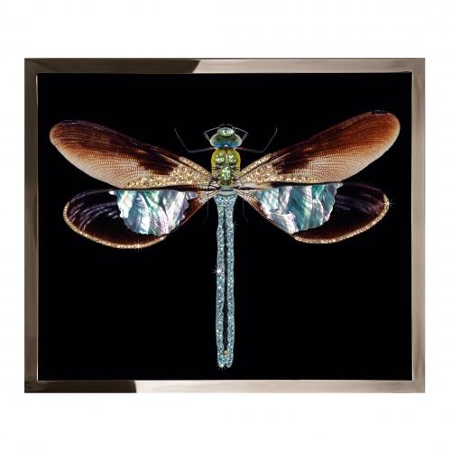 Libellula mini