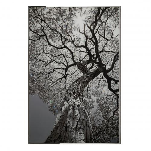 Arbor