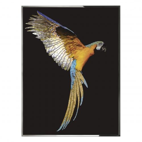 Parrot Ara