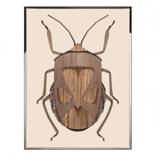 Beetle C