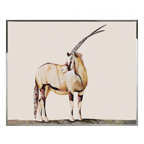 Antilope