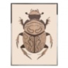 Beetle A