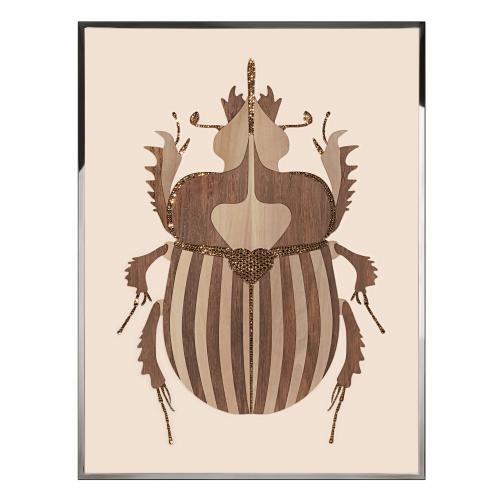 Beetle B