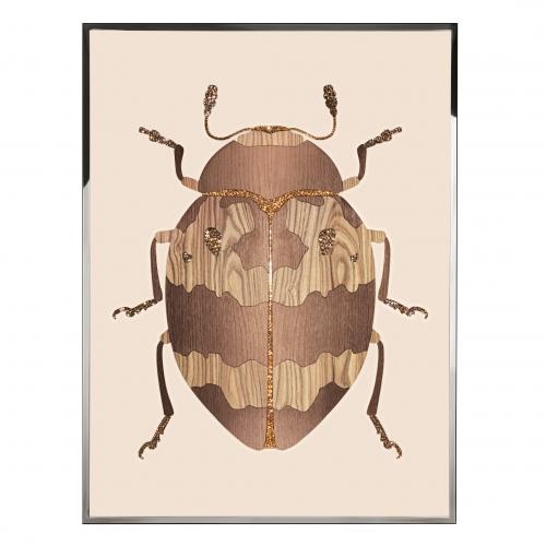 Beetle D