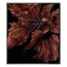 Brown Flower