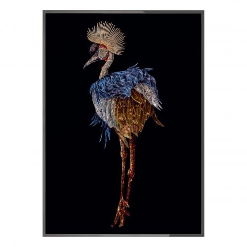 Gru coronata