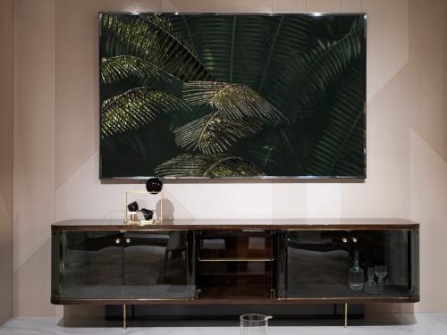 Palma Areca