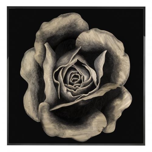 Rosa Fossile