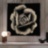 Rosa Fossile