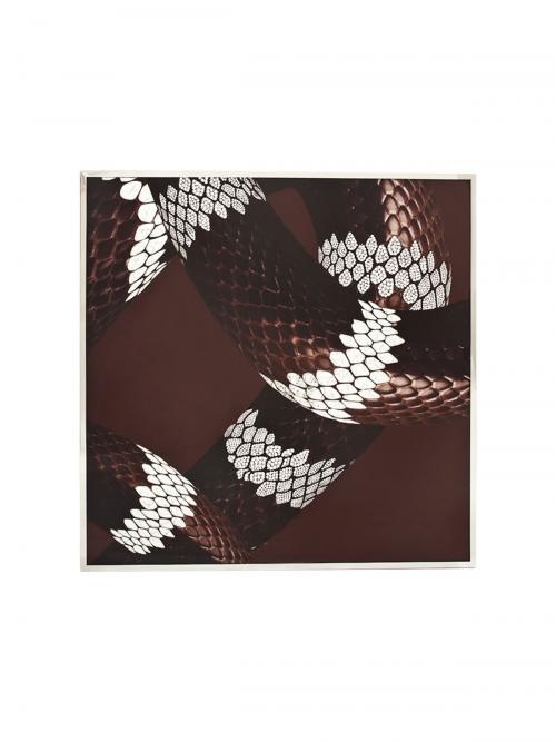 Serpenti