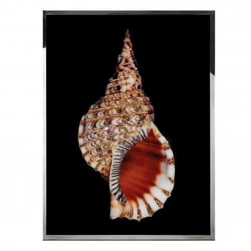 Tritonis