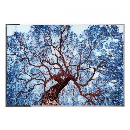 Tree Of Dream