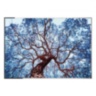 Tree Of Dream