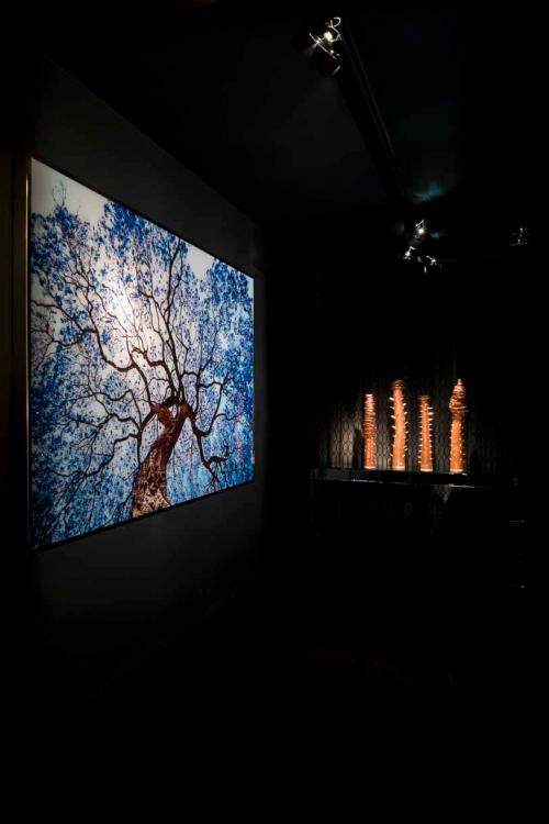 Tree Of Dream