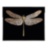 Libellula