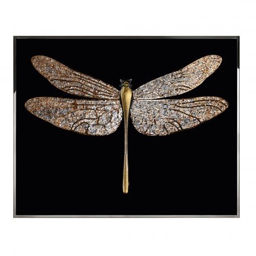 Libellula