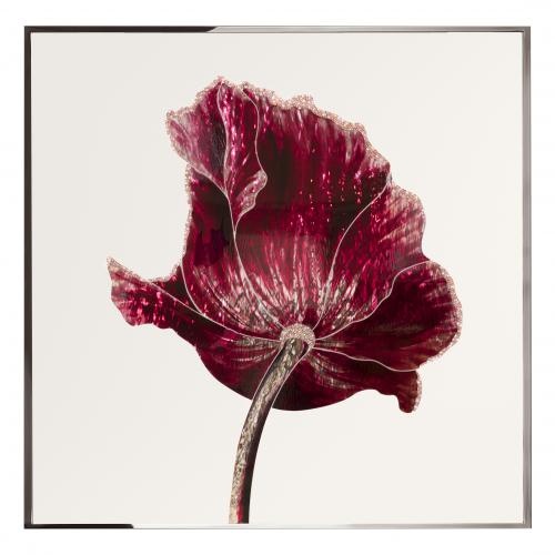 Opium