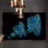 Orchidea Blu