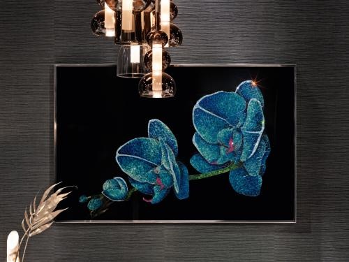 Orchidea Blu