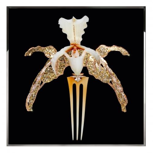 Orchidea Lalique
