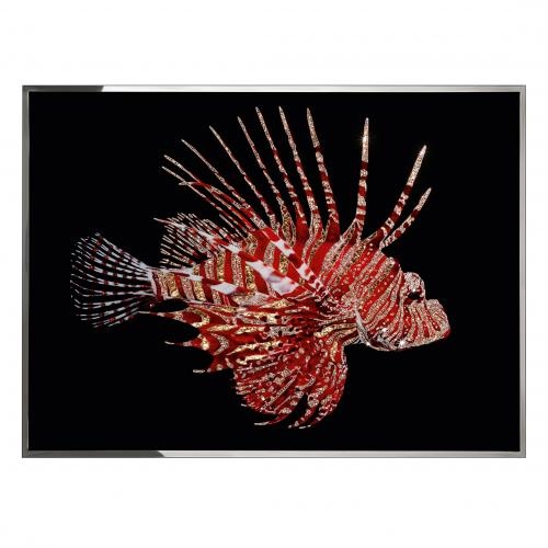 Pesce Scorpione