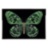 Green Butterfly