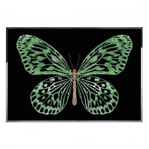Green Butterfly