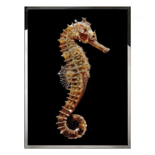 Hippocampus