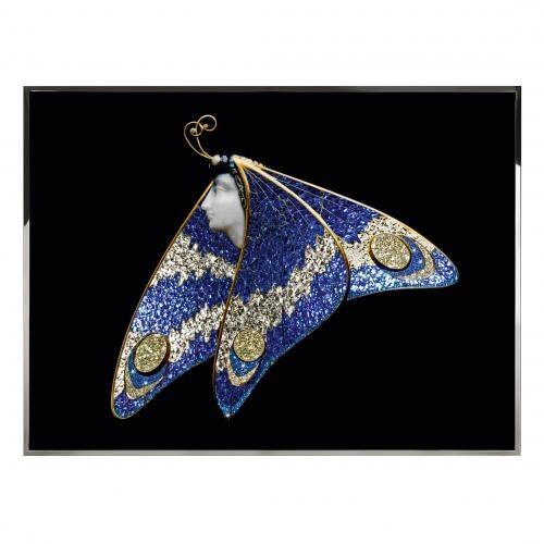 Lady Butterfly