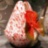 Fauna Scarabeo