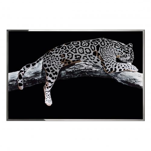 Leopardo