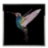 Colibri Big