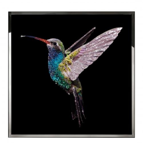 Colibri Big