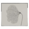 Dry Leaf