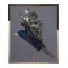 Corvo