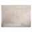 Flamingos