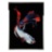 Betta Splendes