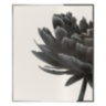 Black Flower