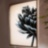 Black Flower