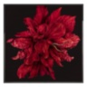 Red Flower