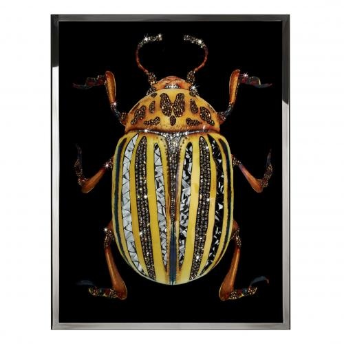 Coleottero Giallo