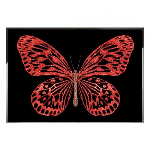 Red Butterfly